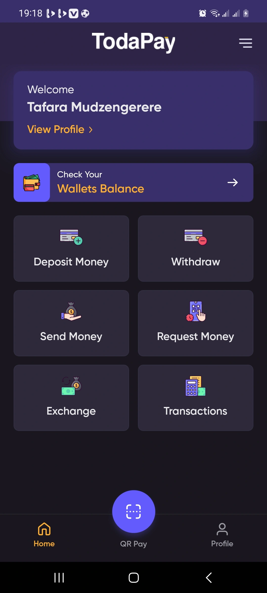 TODAPAY App Interface